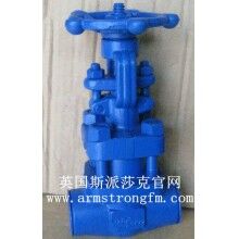 英國斯派莎克A3S內螺紋截止閥